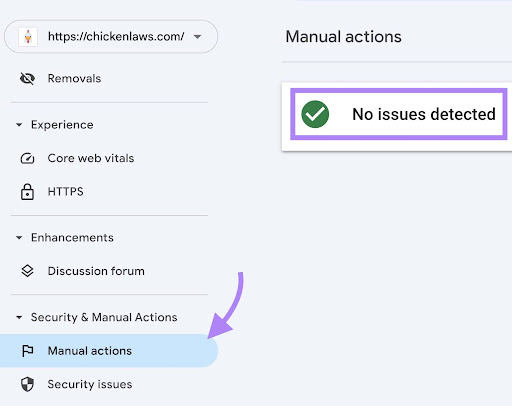 SEO Site Audit Manual actions 