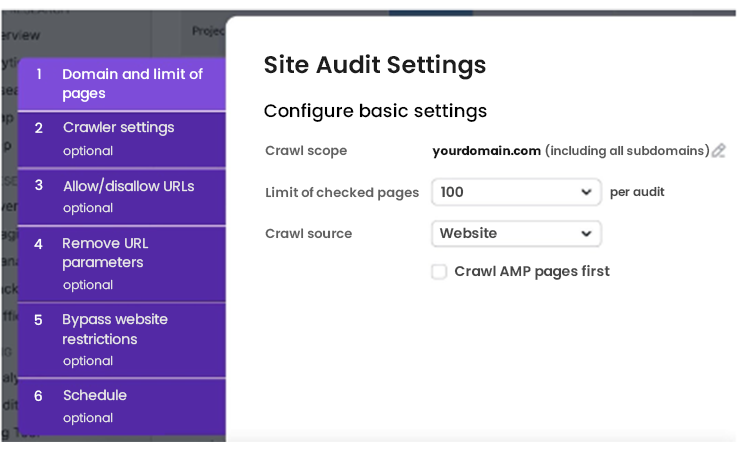 SEO Site Audit Settings