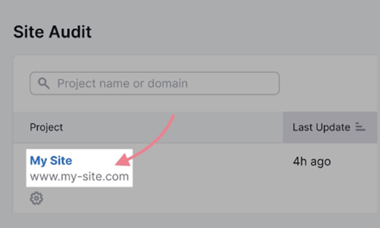Site audit