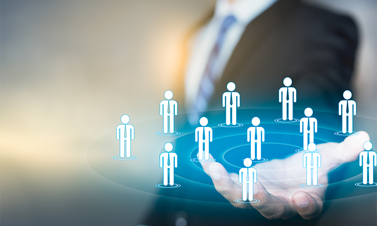 Identify your audience